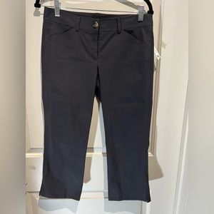 Theory Cropped Pants NWT